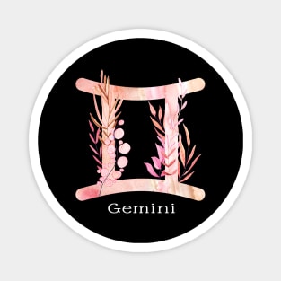 GEMINI Magnet